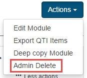 Admin Delete action