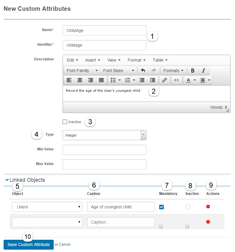 Add Custom Attribute form