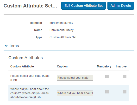 Custom attribute set example