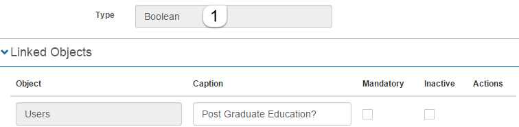 Boolean custom attribute form