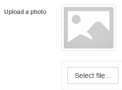 Image custom attribute in use