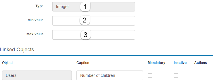 Integer custom attribute form