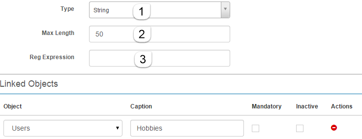 String custom attribute form