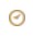 Amber icon