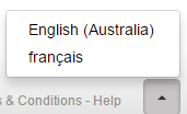 Language switcher in the UI