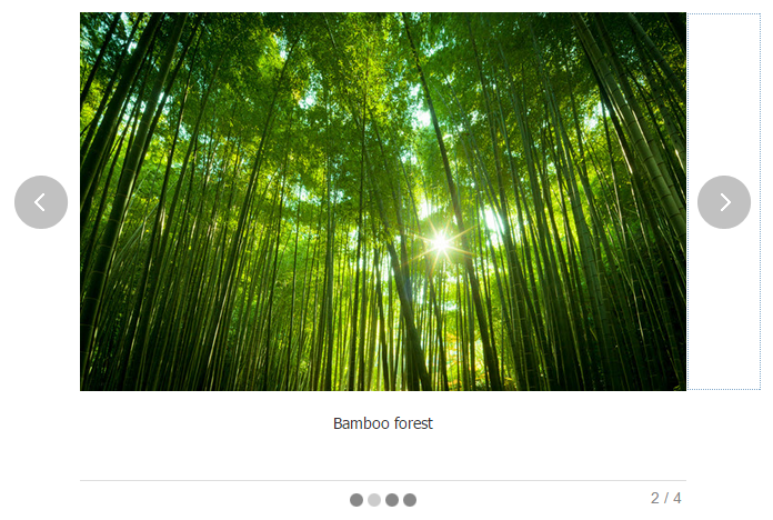 Slideshow panel