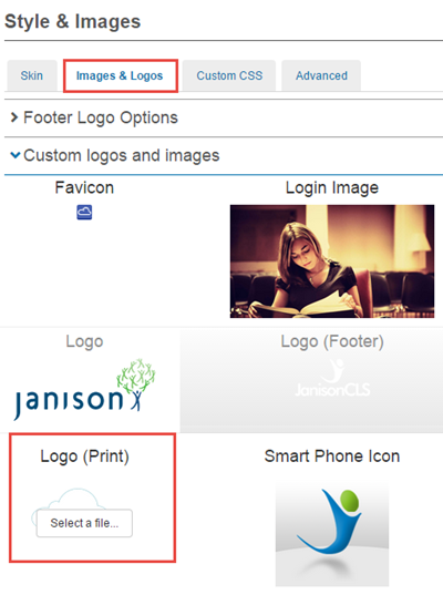 PDF Logo (Print) setting