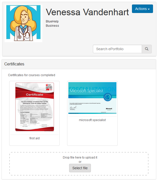 ePortfolio interface