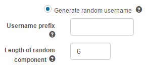 Random username options