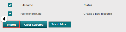 Bulk Resources import