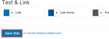 Save Skin button