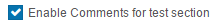 Comments for Test Section option