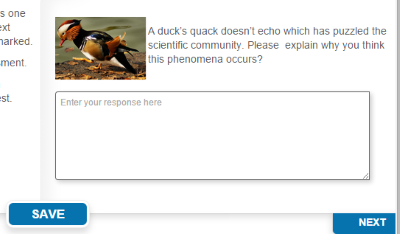 Free Text panel