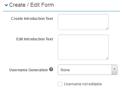 Create / Edit form section