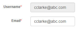 Username field locked