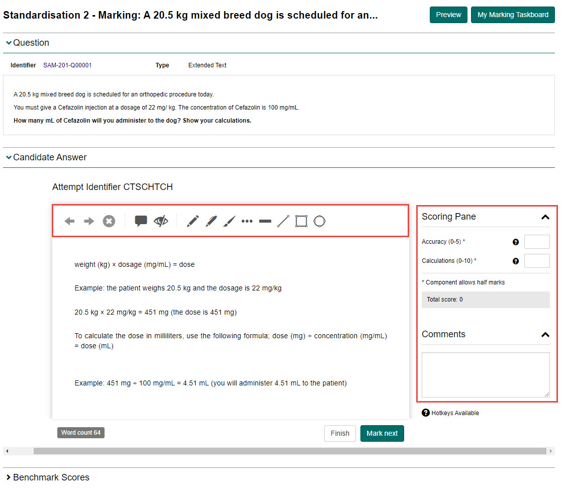 S2 Marking – scoring and annotation screen