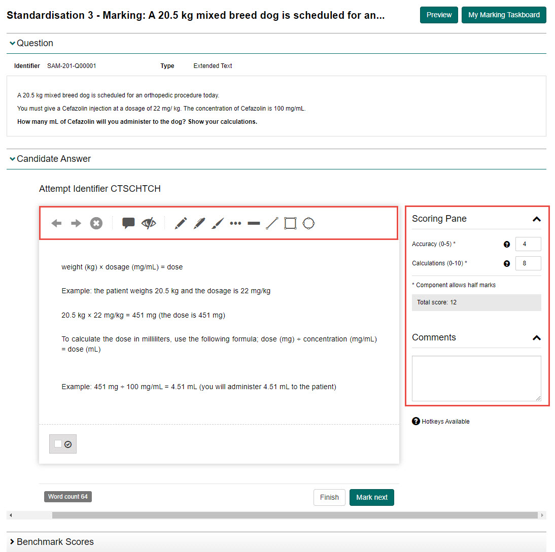 S3 Marking – scoring and annotation screen