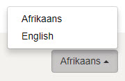 Language selector in the footer