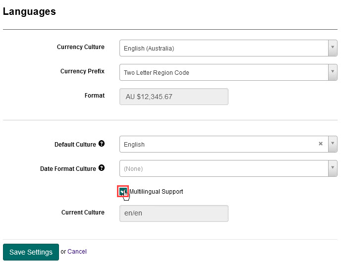 Multilingual Support checkbox