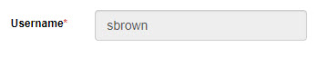 Username not editable option