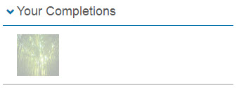 Your Completions section