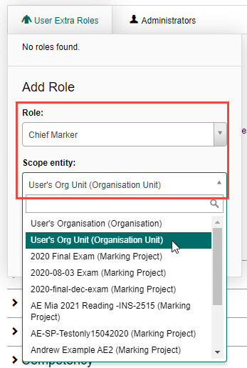 Add Role form showing the Role and Scope entity drop-downs