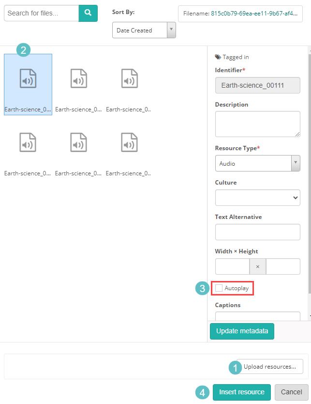 The resource file explorer showing file selection, the Autoplay option, and the Insert resource button