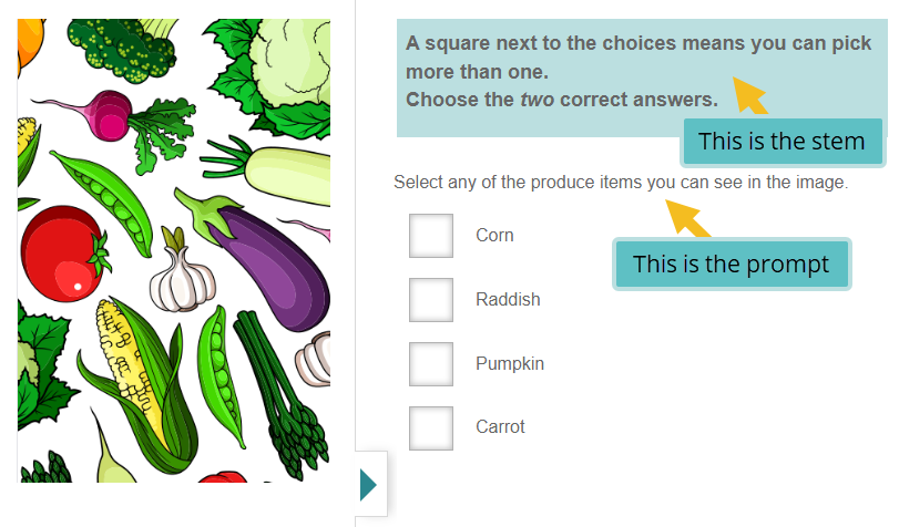 Item with a prompt as it appears to test-takers in the test player