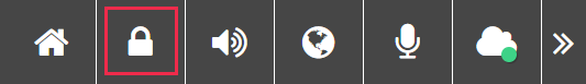 Replay toolbar with the closed padlock icon highlighted