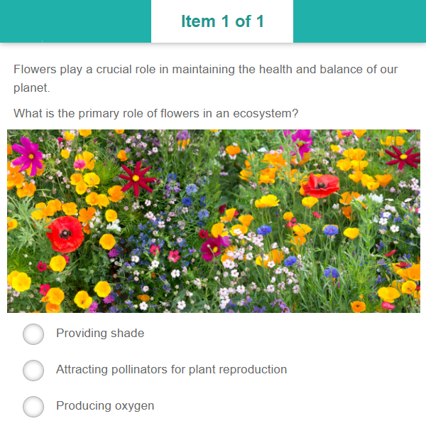 Example item section displaying a test item
