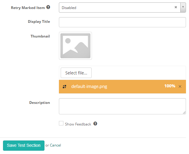 Test section form — additional fields