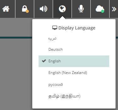 Globe icon on the Replay toolbar